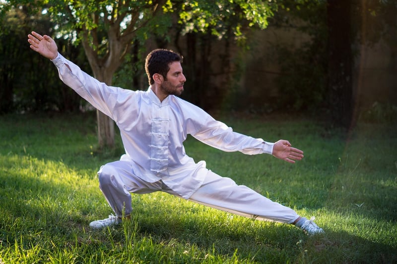 Advanced Tai Chi Movements